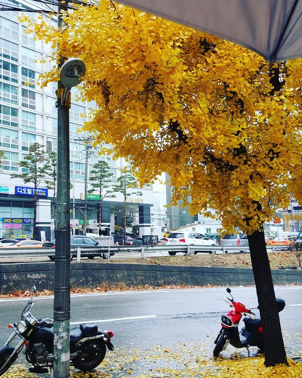Feliz Guesthouse, Seoul Station Zewnętrze zdjęcie